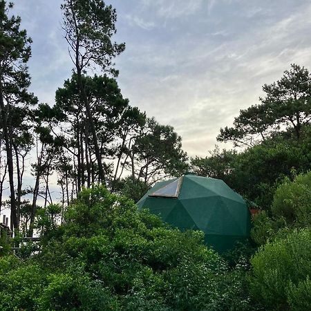 Domosdemar A 100 Mts Del Mar Hotel Ocean Park Екстериор снимка